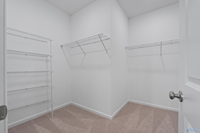 148 Aurora Cir, Fayetteville, TN 37334 - spacious closet featuring carpet floors