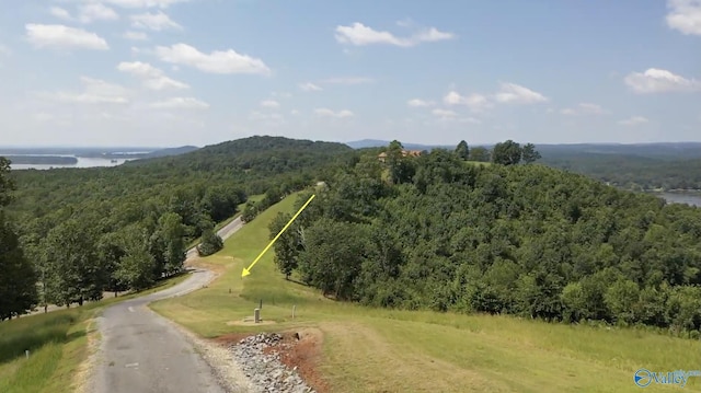 LOT212 County Road 1022 # 212, Cedar Bluff AL, 35959 land for sale