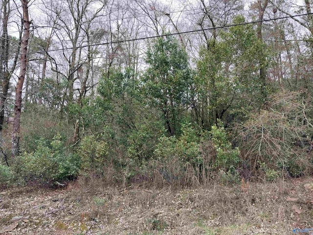 LOT6 Shannon Dr, Gadsden AL, 35904 land for sale