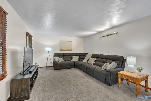 living room featuring a textured ceiling and carpet floors