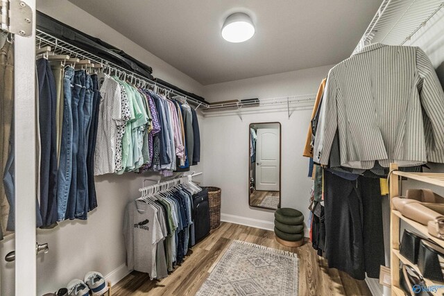 7326 Vidette Ln SE, Owens Cross Roads, AL 35763 - spacious closet featuring wood finished floors
