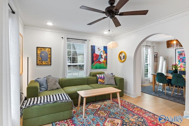 living room with light hardwood / wood-style floors, a wealth of natural light, crown molding, and ceiling fan