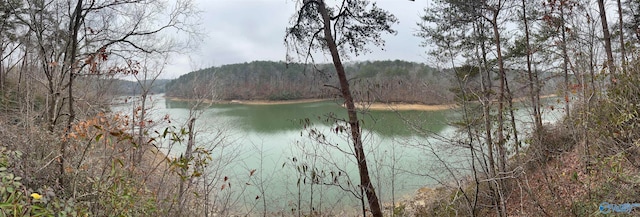 Listing photo 2 for LOT18 Broughton Trl, Jasper AL 35503