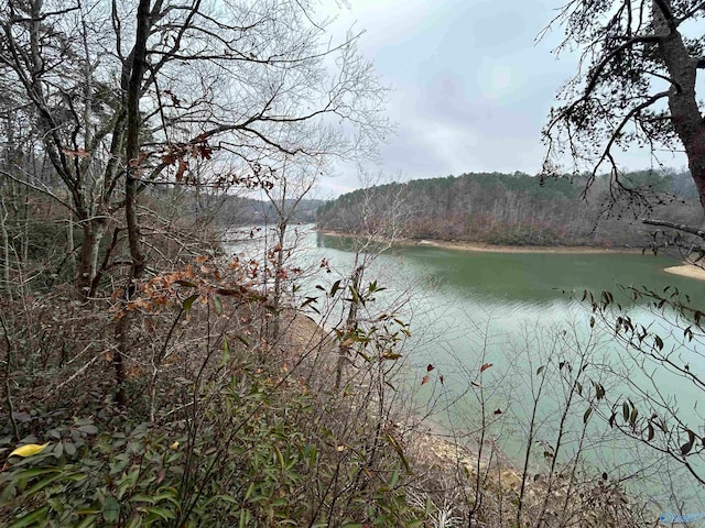 Listing photo 3 for LOT18 Broughton Trl, Jasper AL 35503