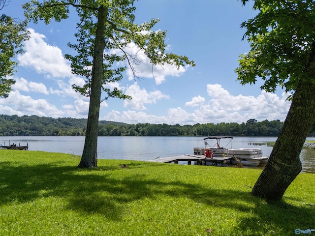 814 E Haven Dr, Glencoe, AL 35905 - dock featuring a yard, a wooded view, and a water view