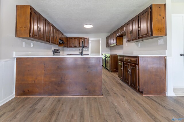 814 E Haven Dr, Glencoe, AL 35905 - kitchen featuring wood finished floors, under cabinet range hood, light countertops, a peninsula, and a textured ceiling