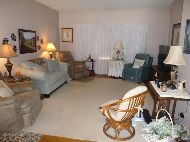living room featuring carpet