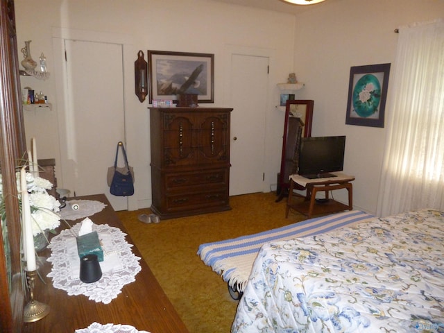 bedroom with carpet flooring