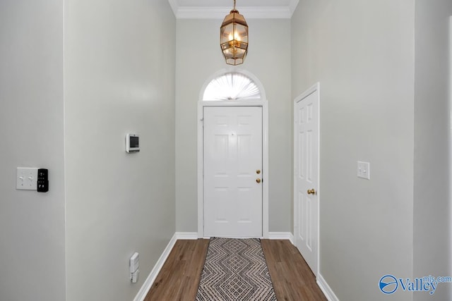 foyer with crown molding and dark wood-type flooring