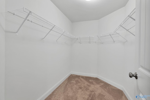 2452 Belltown Dr, Huntsville, AL 35803 - spacious closet with carpet