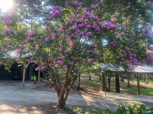 surrounding community featuring a carport