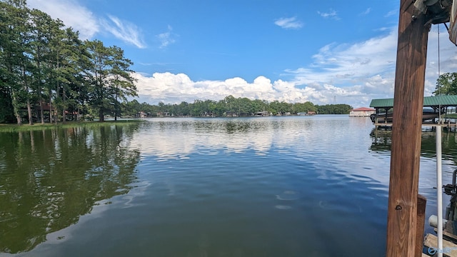 view of water feature with a dock