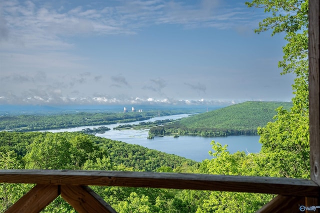property view of water with a wooded view