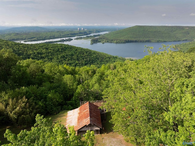 drone / aerial view featuring a water view and a wooded view