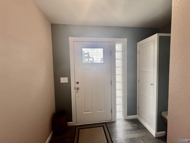 415 County Road 355, Leesburg, AL 35983 - entrance foyer featuring dark wood-style flooring and baseboards