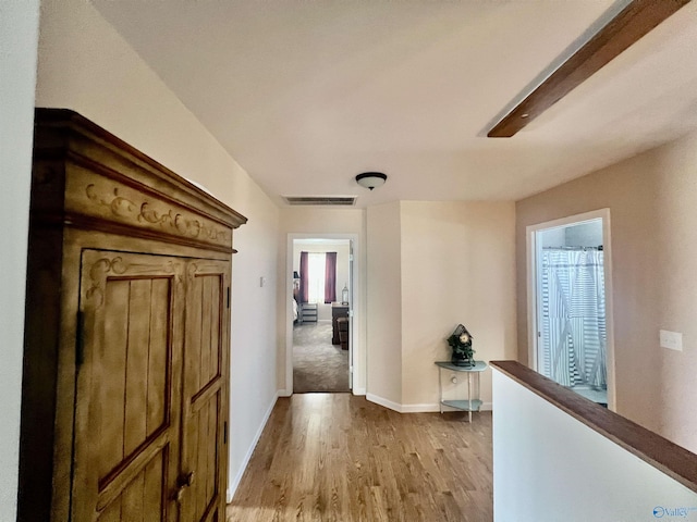415 County Road 355, Leesburg, AL 35983 - hall with wood finished floors and plenty of natural light