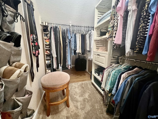 415 County Road 355, Leesburg, AL 35983 - spacious closet featuring wood finished floors