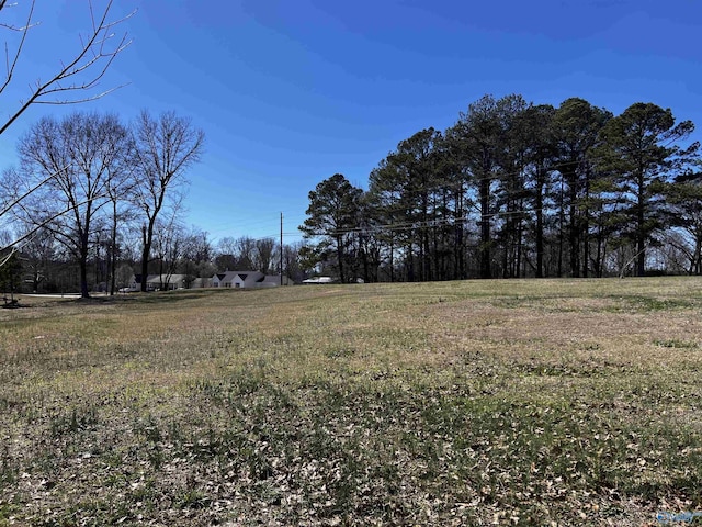 Listing photo 3 for 93ACRES Whitesville Rd, Albertville AL 35950