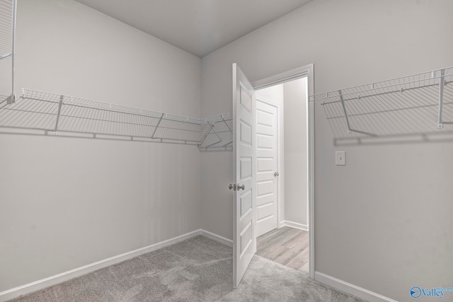 spacious closet featuring light carpet