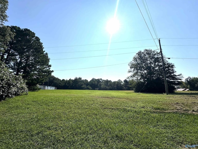 Listing photo 2 for 50ACRES Rosenwald St, Moulton AL 35650