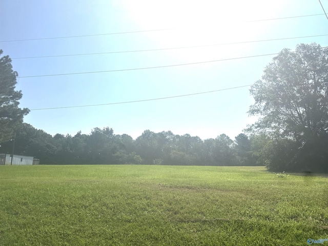 Listing photo 3 for 50ACRES Rosenwald St, Moulton AL 35650