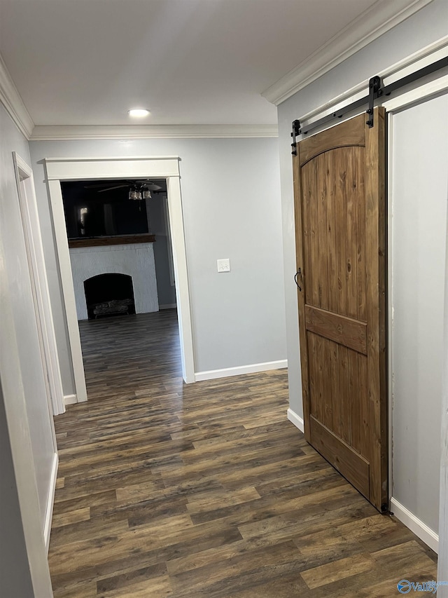 hallway with a barn door, crown molding, and dark hardwood / wood-style flooring