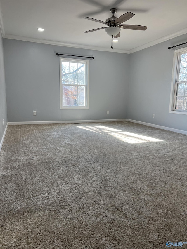 empty room with carpet flooring, crown molding, and ceiling fan