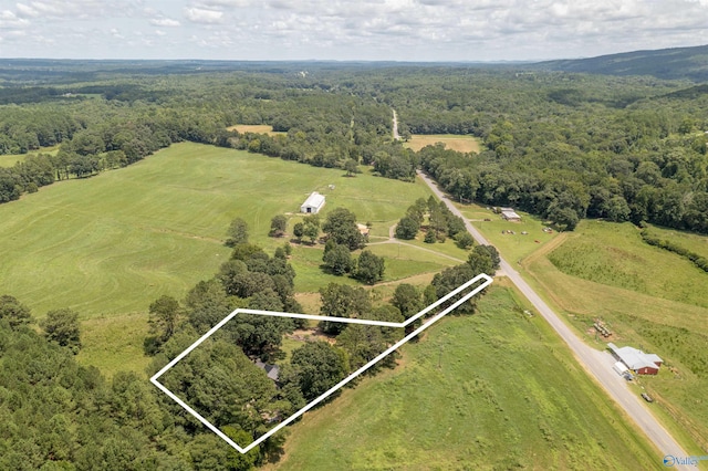 bird's eye view featuring a rural view and a view of trees