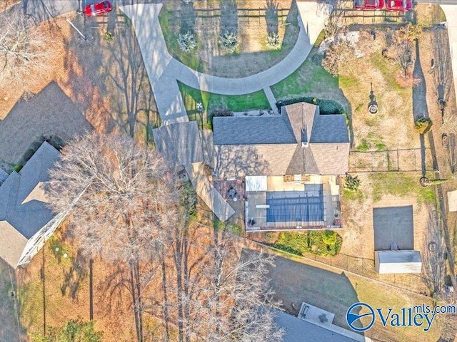 bird's eye view