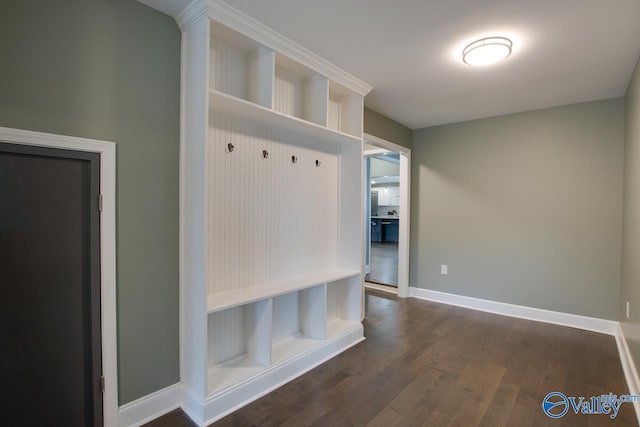 mudroom with dark wood-type flooring