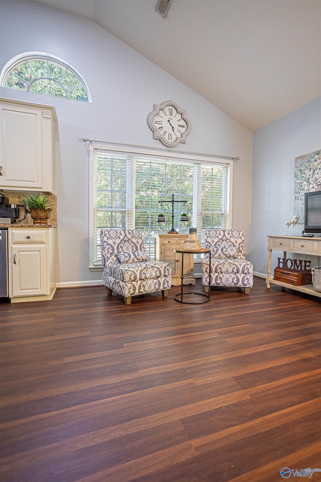 sitting room featuring dark hardwood / wood-style floors, high vaulted ceiling, and a wealth of natural light