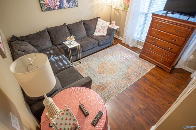 living room featuring wood-type flooring