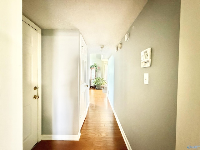 101 Maple Valley Dr, Madison, AL 35758 - hallway with wood finished floors and baseboards
