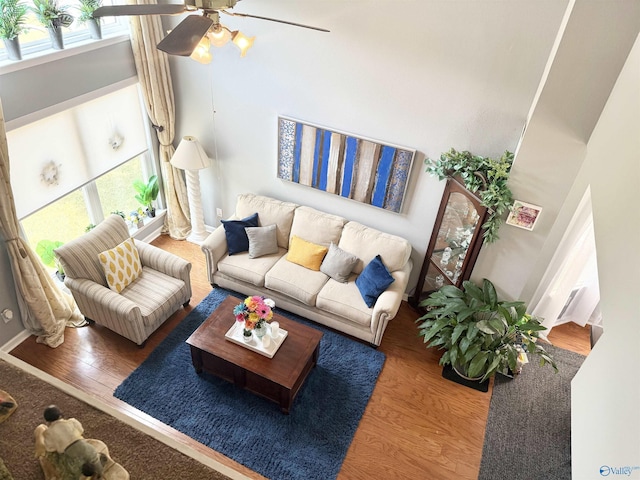 101 Maple Valley Dr, Madison, AL 35758 - living room featuring wood finished floors, a ceiling fan, and a high ceiling