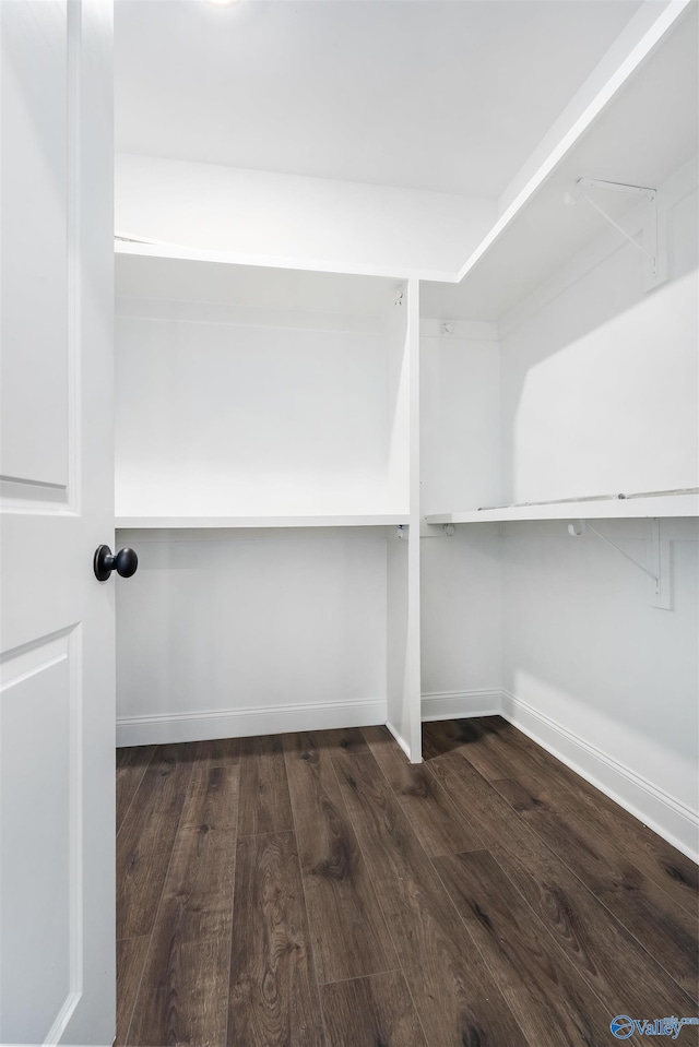 walk in closet featuring dark hardwood / wood-style flooring