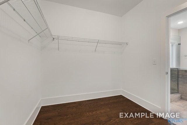 walk in closet with wood finished floors