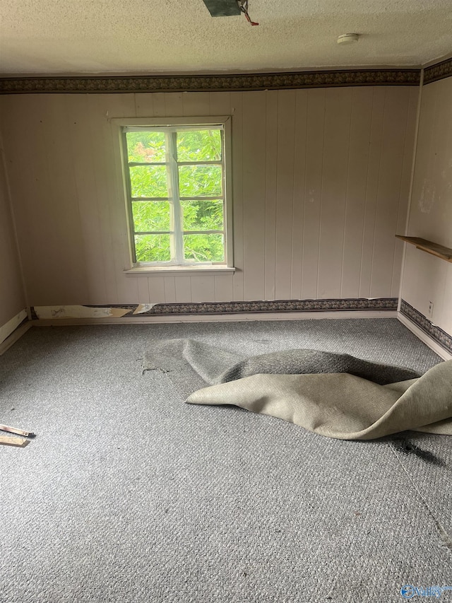 1530 County Road 437, Hillsboro, AL 35643 - detailed view of a textured ceiling, carpet, a smoke detector, and baseboards