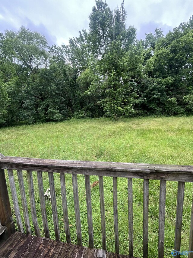 1530 County Road 437, Hillsboro, AL 35643 - view of yard