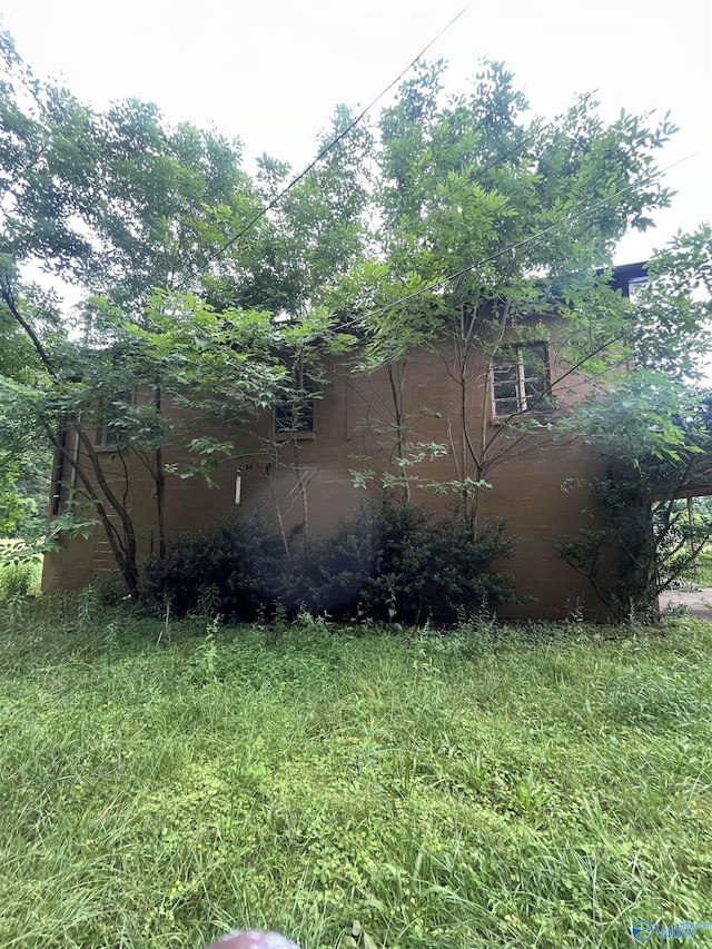 1530 County Road 437, Hillsboro, AL 35643 - view of yard
