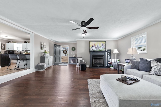 27906 Mooresville Rd, Elkmont, AL 35620 - living room with healthy amount of natural light, ceiling fan, wood finished floors, a fireplace, and crown molding