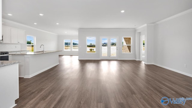 unfurnished living room with crown molding, dark hardwood / wood-style floors, and sink