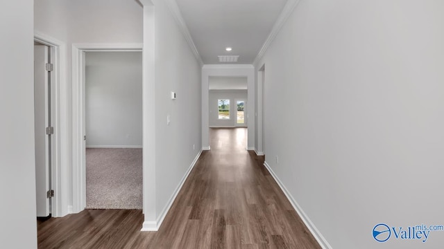 hallway featuring crown molding and dark hardwood / wood-style floors