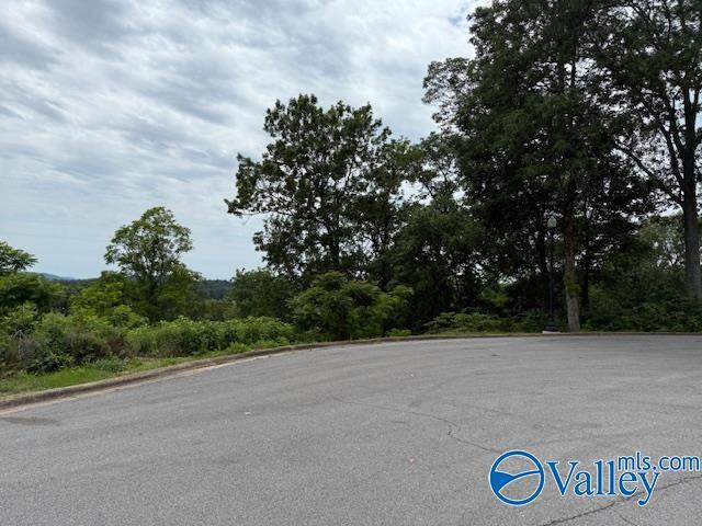 5/6 Kemper Cir, Guntersville, AL 35976