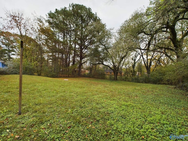 4227 Keith Dr NW, Huntsville, AL 35810 - view of yard