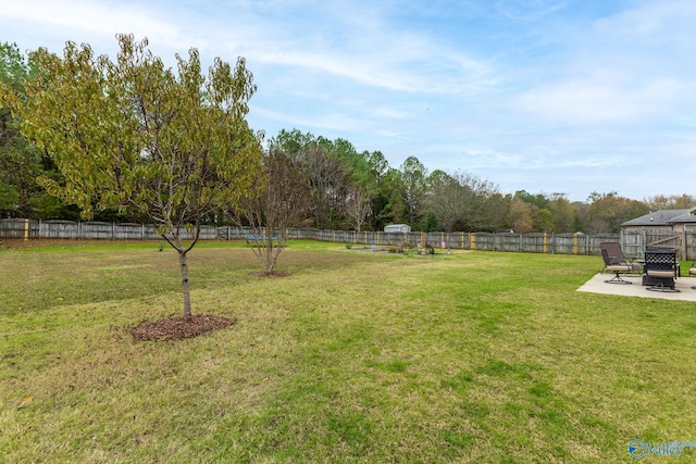 view of yard featuring a patio area