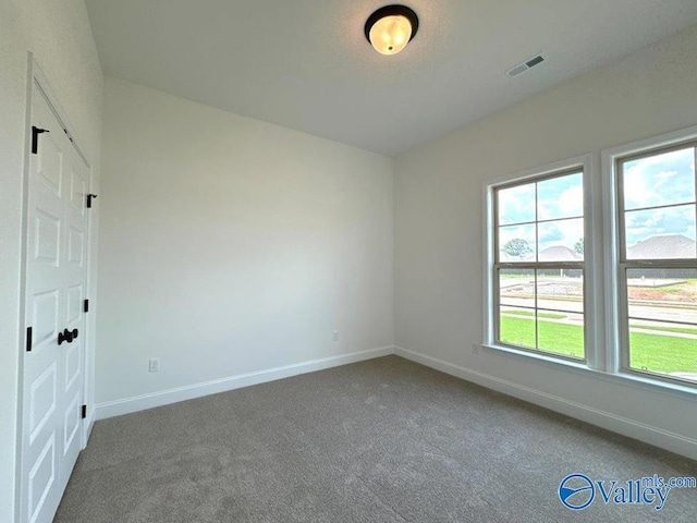 unfurnished bedroom featuring carpet