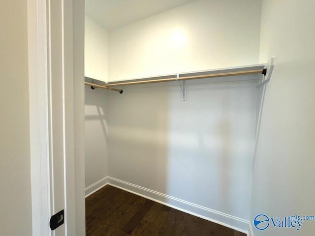 spacious closet featuring dark hardwood / wood-style flooring