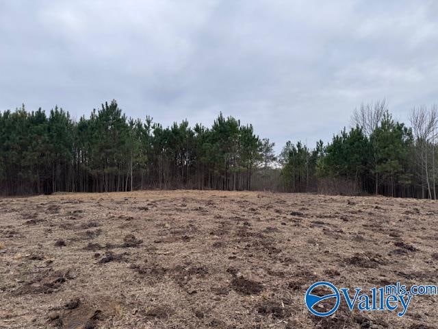 33/-ACRES County Road 1101, Vinemont AL, 35179 land for sale