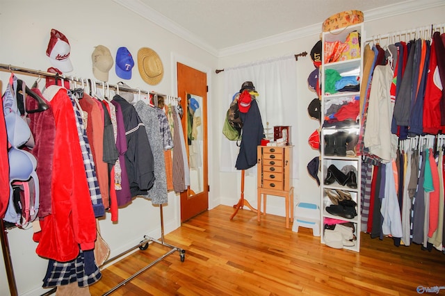 spacious closet with hardwood / wood-style flooring