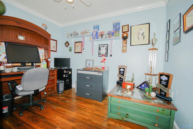 office with ornamental molding and dark hardwood / wood-style floors